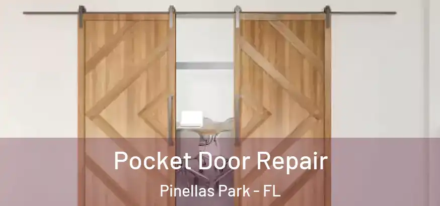  Pocket Door Repair Pinellas Park - FL