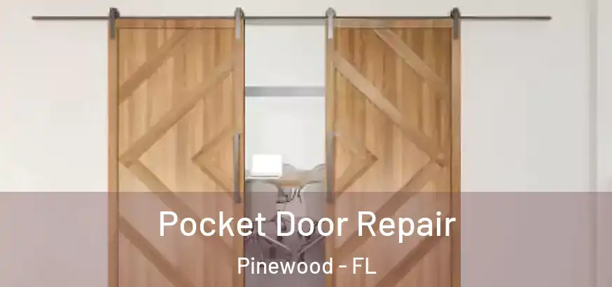 Pocket Door Repair Pinewood - FL