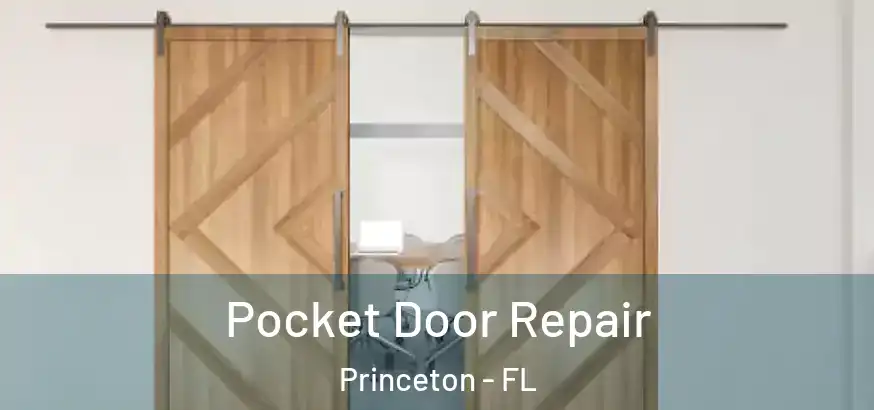 Pocket Door Repair Princeton - FL