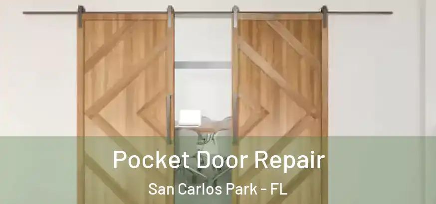  Pocket Door Repair San Carlos Park - FL
