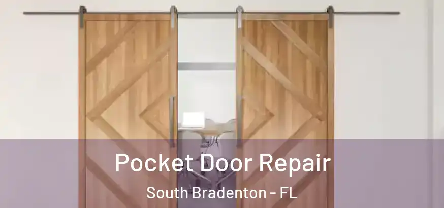  Pocket Door Repair South Bradenton - FL