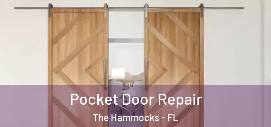  Pocket Door Repair The Hammocks - FL