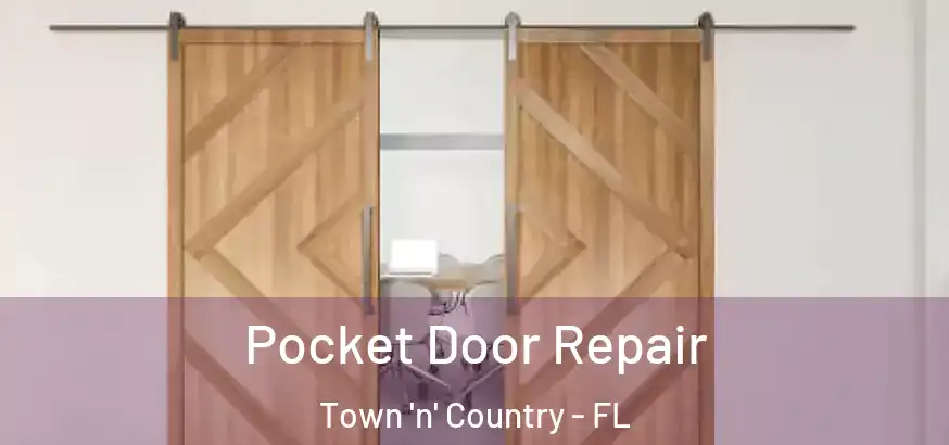  Pocket Door Repair Town 'n' Country - FL
