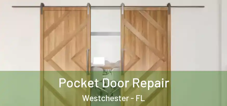 Pocket Door Repair Westchester - FL