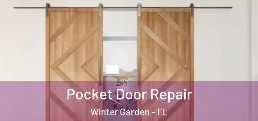  Pocket Door Repair Winter Garden - FL