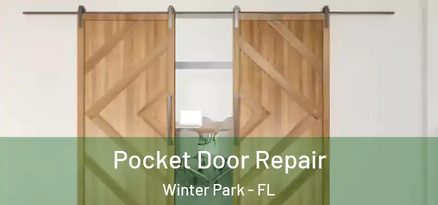 Pocket Door Repair Winter Park - FL