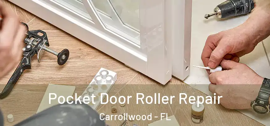 Pocket Door Roller Repair Carrollwood - FL