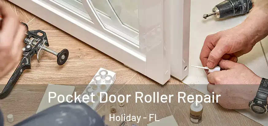 Pocket Door Roller Repair Holiday - FL