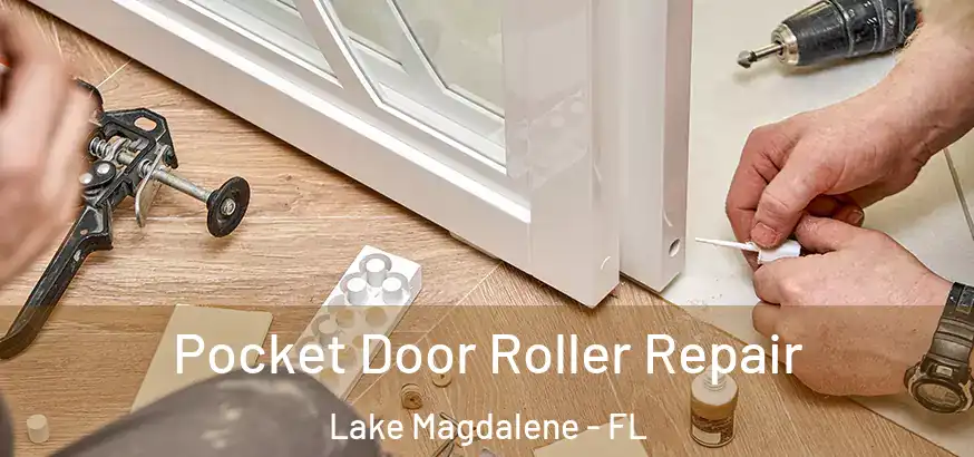 Pocket Door Roller Repair Lake Magdalene - FL