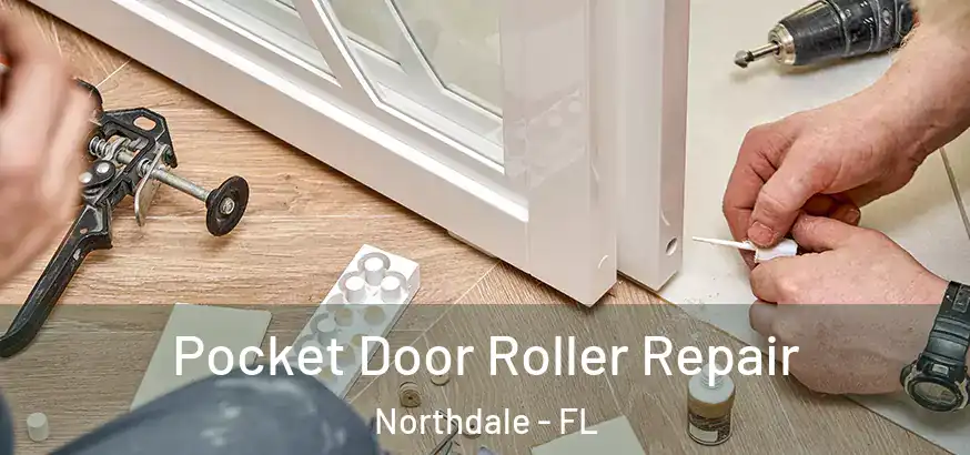 Pocket Door Roller Repair Northdale - FL