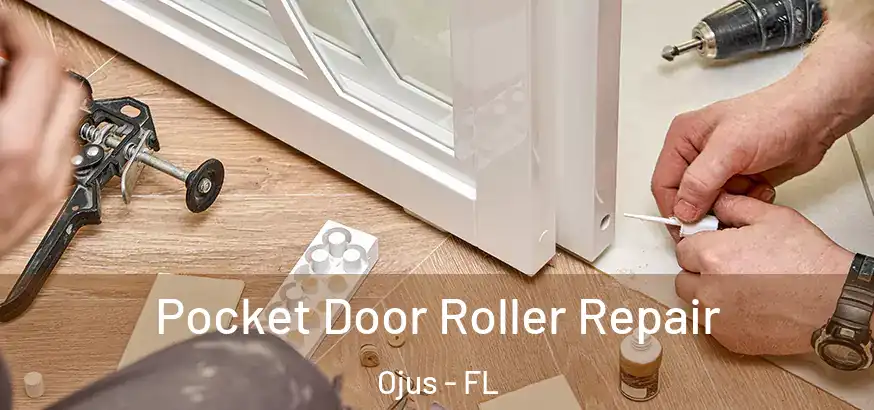  Pocket Door Roller Repair Ojus - FL