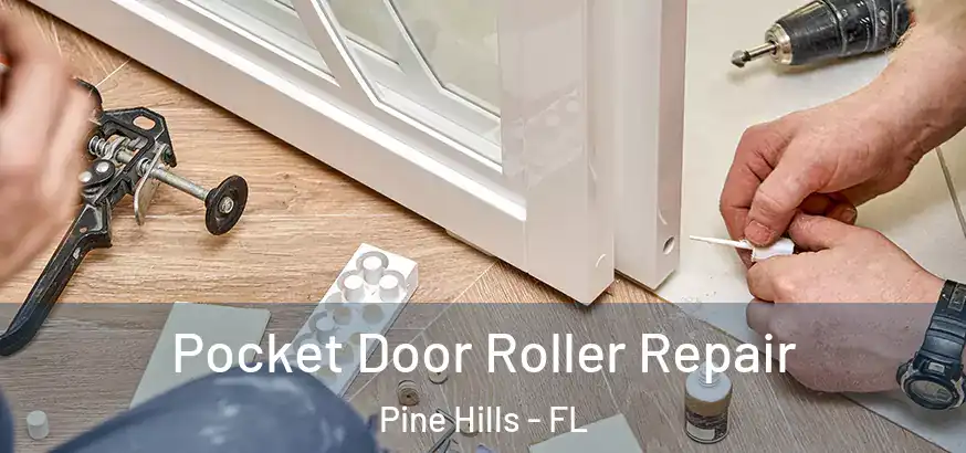 Pocket Door Roller Repair Pine Hills - FL