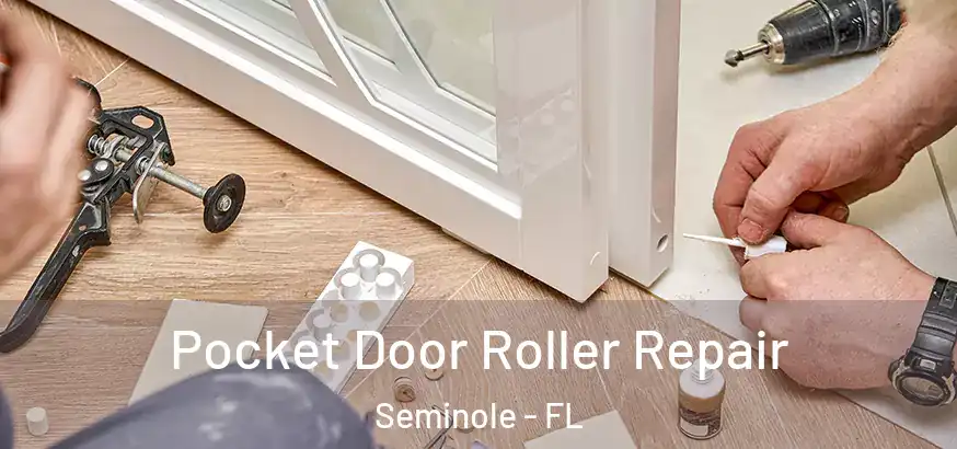  Pocket Door Roller Repair Seminole - FL