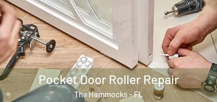  Pocket Door Roller Repair The Hammocks - FL