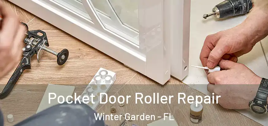 Pocket Door Roller Repair Winter Garden - FL