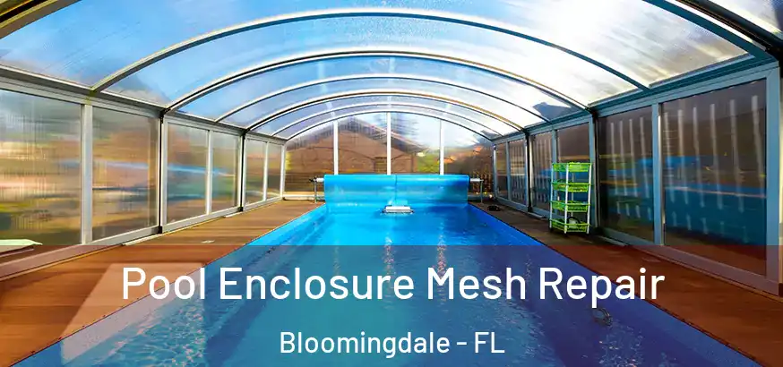  Pool Enclosure Mesh Repair Bloomingdale - FL