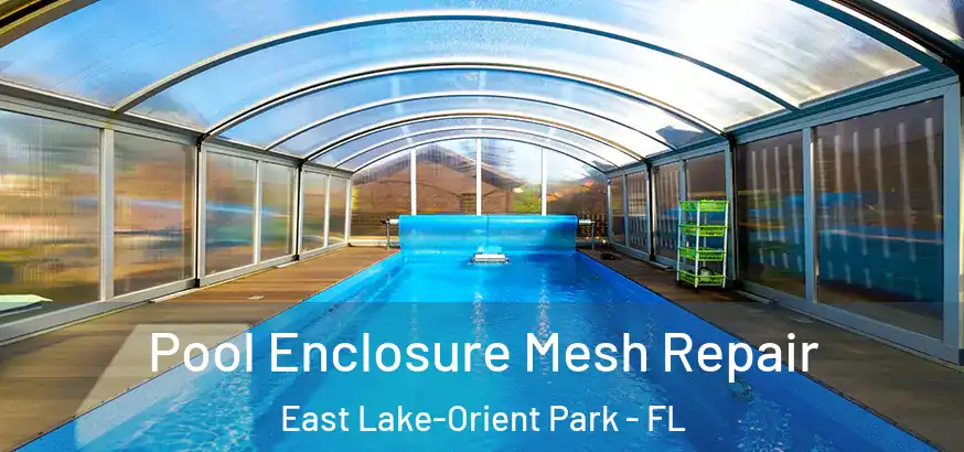  Pool Enclosure Mesh Repair East Lake-Orient Park - FL