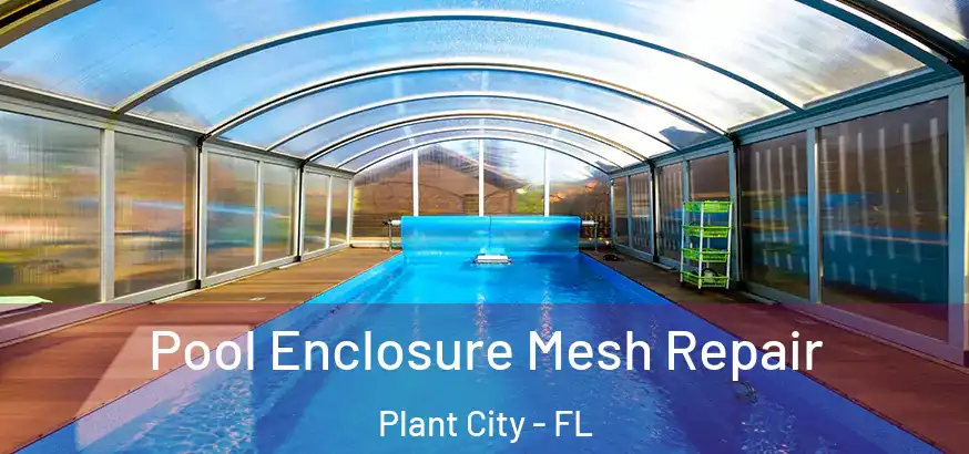  Pool Enclosure Mesh Repair Plant City - FL