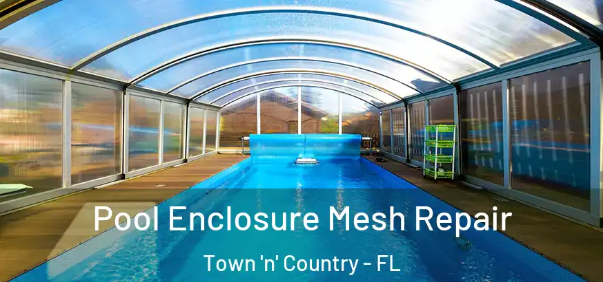  Pool Enclosure Mesh Repair Town 'n' Country - FL