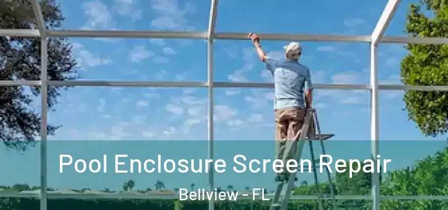  Pool Enclosure Screen Repair Bellview - FL