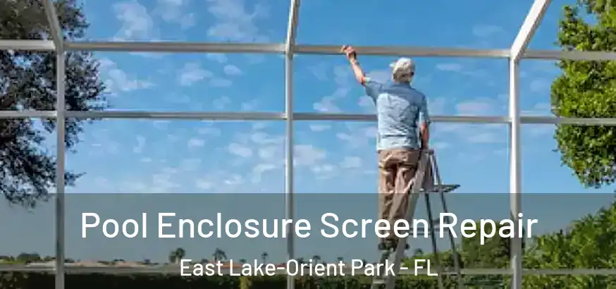 Pool Enclosure Screen Repair East Lake-Orient Park - FL