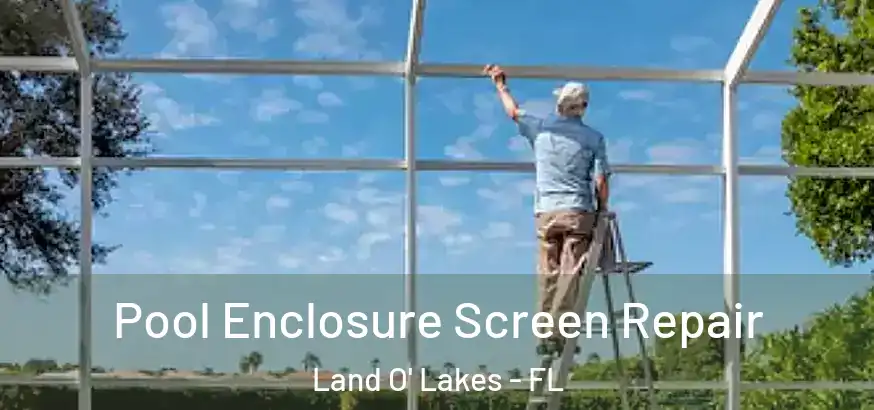  Pool Enclosure Screen Repair Land O' Lakes - FL