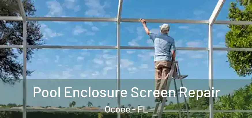 Pool Enclosure Screen Repair Ocoee - FL