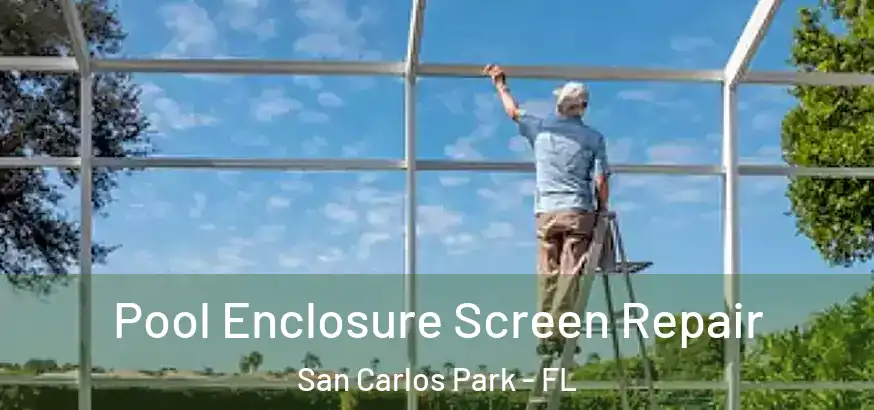  Pool Enclosure Screen Repair San Carlos Park - FL