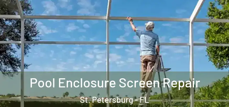  Pool Enclosure Screen Repair St. Petersburg - FL