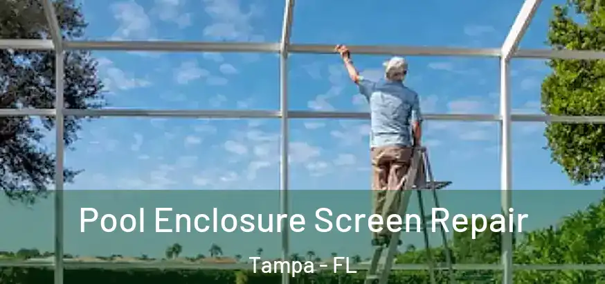  Pool Enclosure Screen Repair Tampa - FL