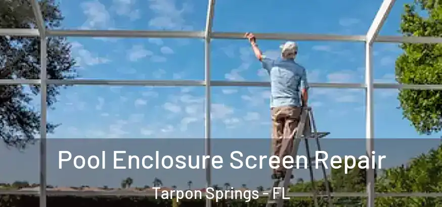  Pool Enclosure Screen Repair Tarpon Springs - FL