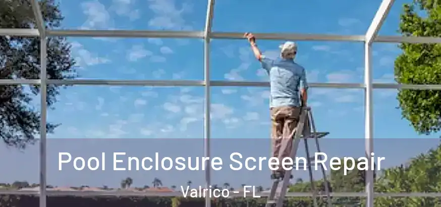  Pool Enclosure Screen Repair Valrico - FL