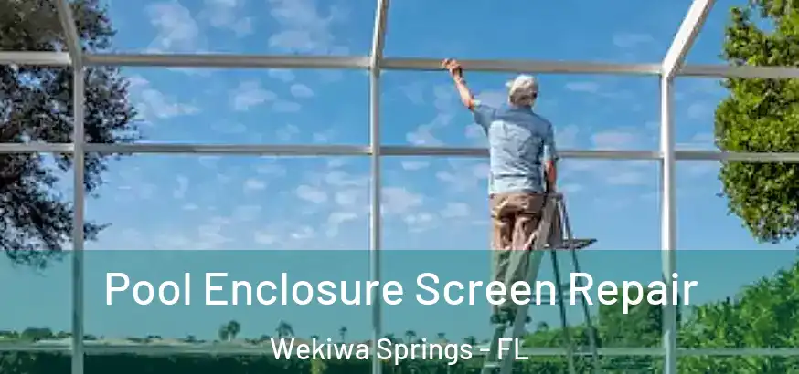 Pool Enclosure Screen Repair Wekiwa Springs - FL
