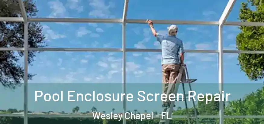  Pool Enclosure Screen Repair Wesley Chapel - FL