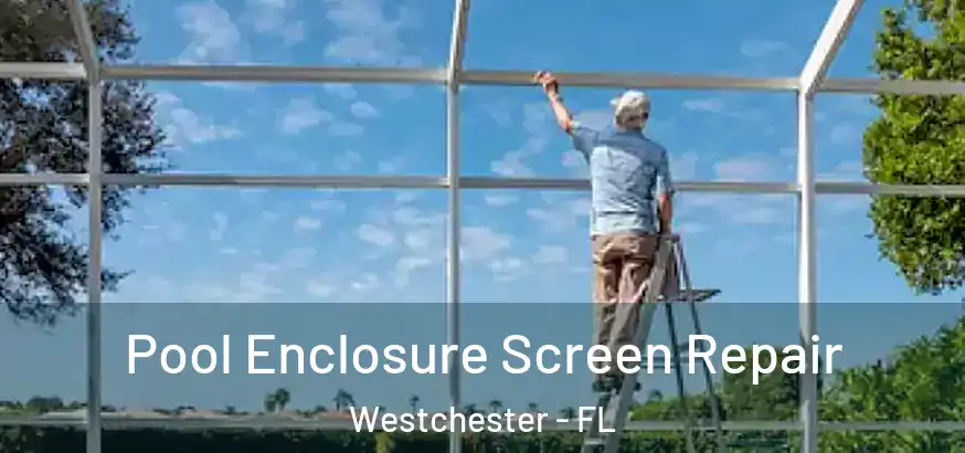  Pool Enclosure Screen Repair Westchester - FL
