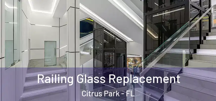  Railing Glass Replacement Citrus Park - FL