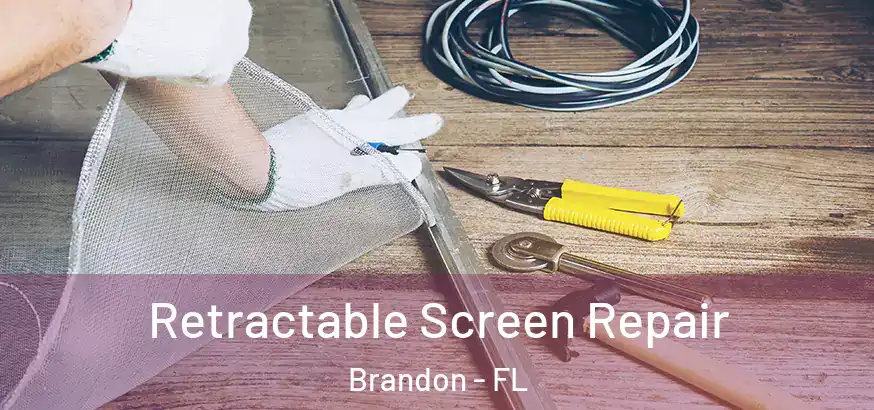  Retractable Screen Repair Brandon - FL
