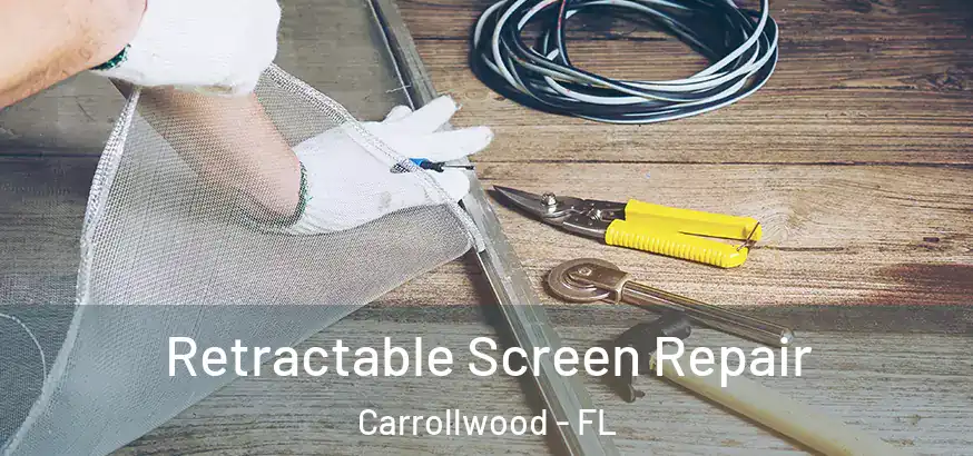  Retractable Screen Repair Carrollwood - FL