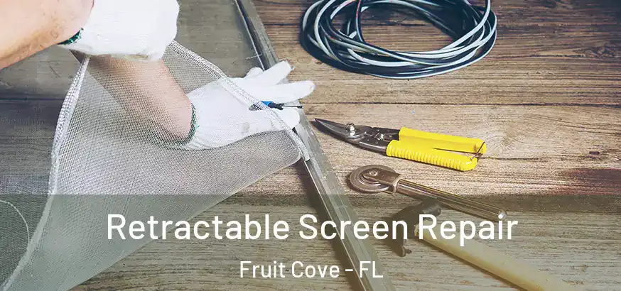  Retractable Screen Repair Fruit Cove - FL