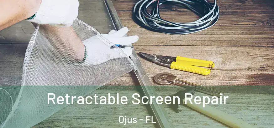Retractable Screen Repair Ojus - FL