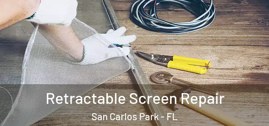  Retractable Screen Repair San Carlos Park - FL