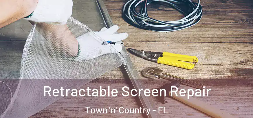 Retractable Screen Repair Town 'n' Country - FL