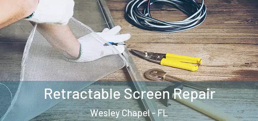  Retractable Screen Repair Wesley Chapel - FL