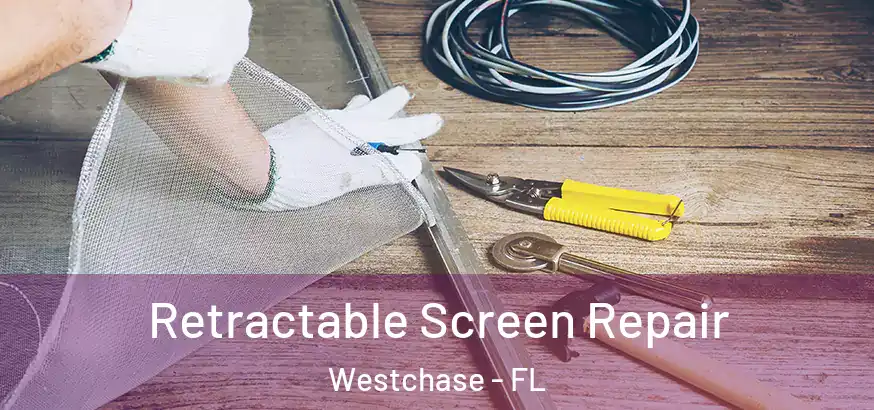  Retractable Screen Repair Westchase - FL