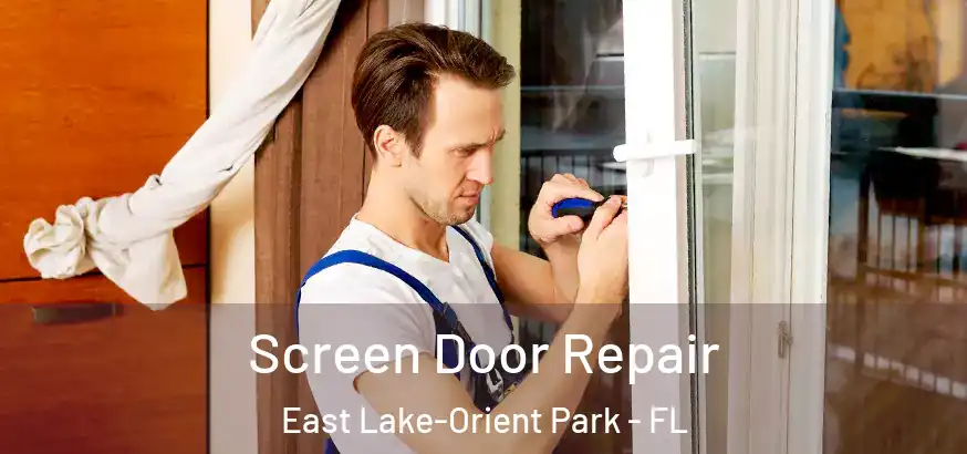  Screen Door Repair East Lake-Orient Park - FL