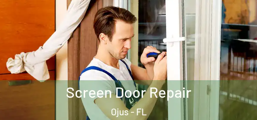  Screen Door Repair Ojus - FL