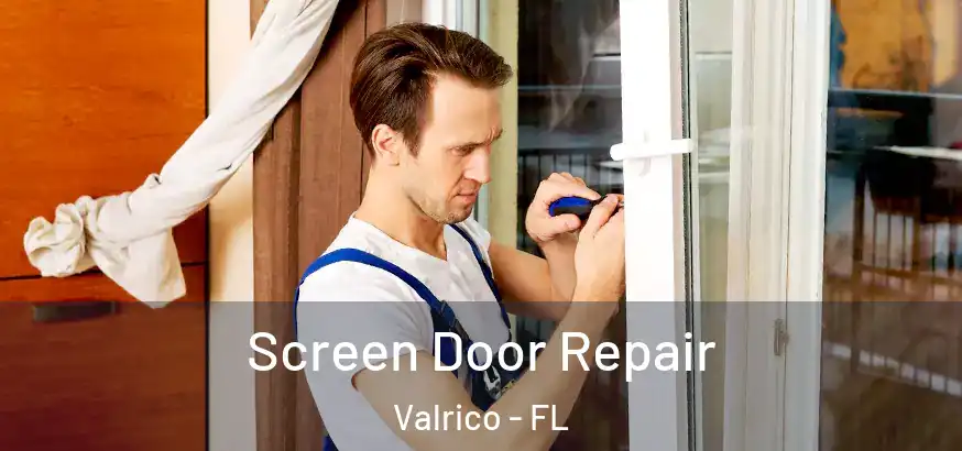  Screen Door Repair Valrico - FL