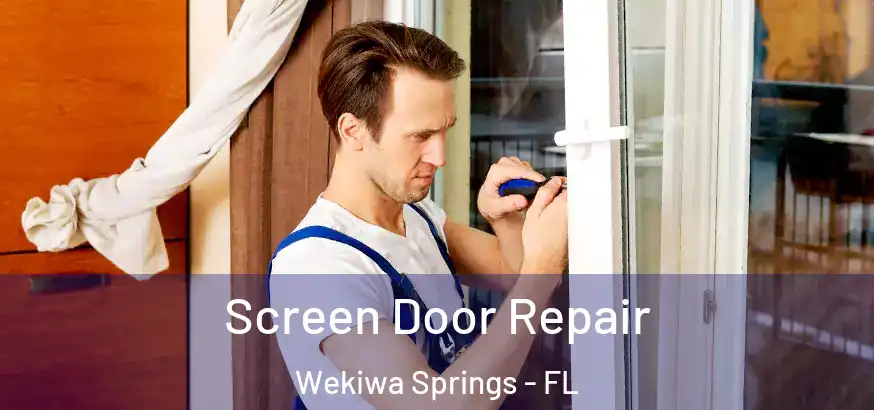  Screen Door Repair Wekiwa Springs - FL