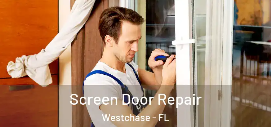  Screen Door Repair Westchase - FL