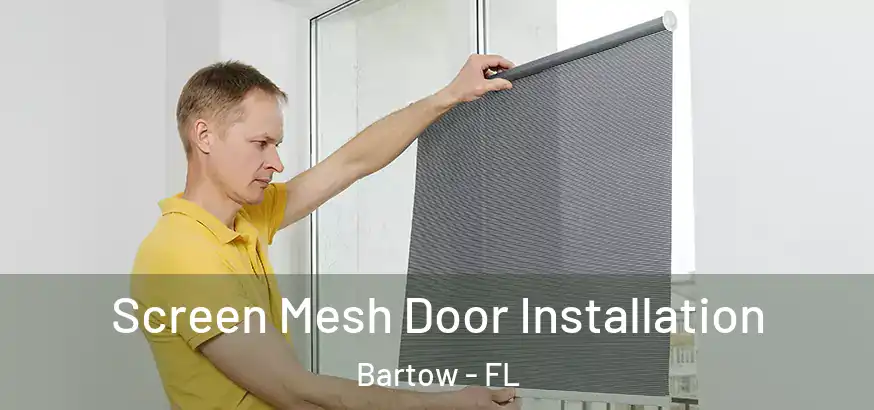 Screen Mesh Door Installation Bartow - FL
